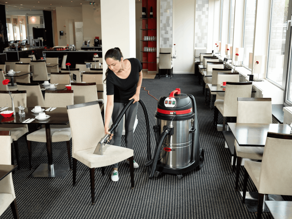 Extratora para Bancos e Carpetes Viper CAR275