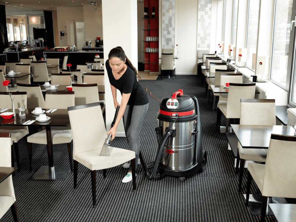 Extratora para Bancos e Carpetes Viper CAR275